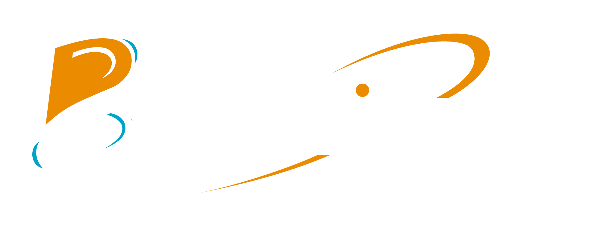 logo-blogue-traditours-complet-reverse